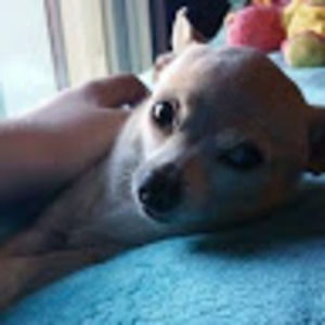 Meet your Posher, Judah